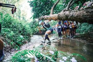 BIB: 
                            <button type="button" onclick="openModal(25465985)" class="btn btn-primary btn-sm float-right btn-popup" data-toggle="modal" data-target=".modal-high-quality">
                        <i class="fas fa-shopping-cart"></i> Add to Cart
                    </button>
                                            <button type="button" onclick="isThisMe(25465985, true)" class="btn btn-success btn-sm float-right btn-popup btn-isme hidden" data-toggle="tooltip" data-placement="bottom" title="นี่คือรูปของคุณใช่ไหม คลิกที่นี่เพื่อเอาเข้าอัลบั้ม">
                        <i class="fas fa-plus"></i> Add to album
                    </button>
                    <button type="button" onclick="isThisMe(25465985, false)" class="btn btn-warning btn-sm float-right btn-popup btn-isnotme hidden">
                        <i class="fas fa-ban"></i> Remove from album
                    </button>